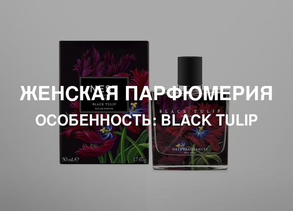 Особенность: Black Tulip